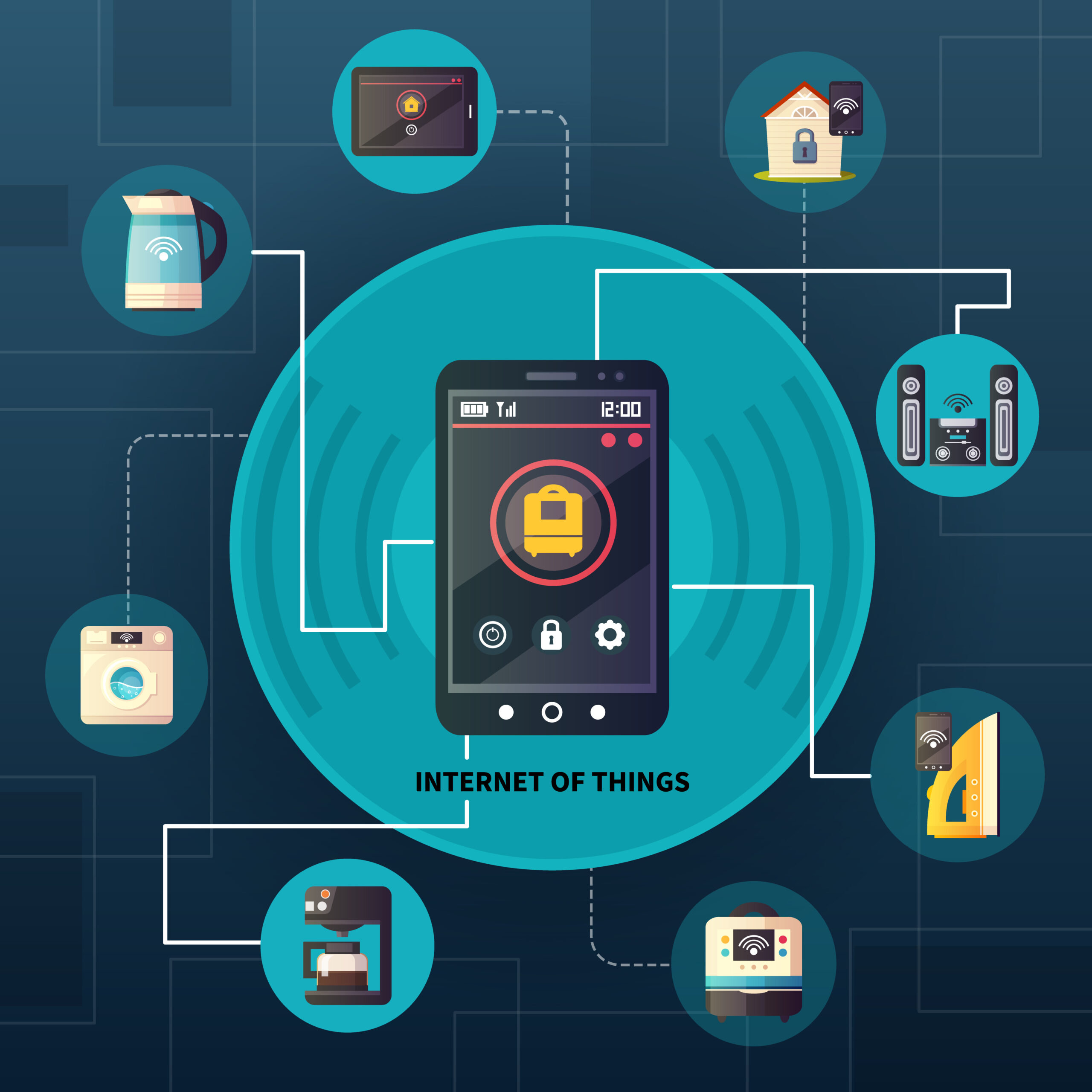 Safeguarding Your IoT Devices and Networks
